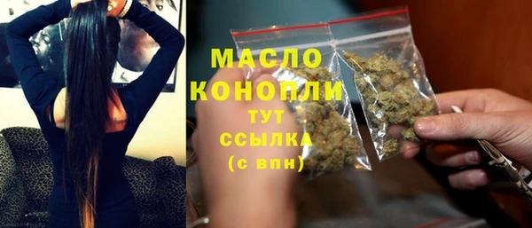 дживик Анжеро-Судженск