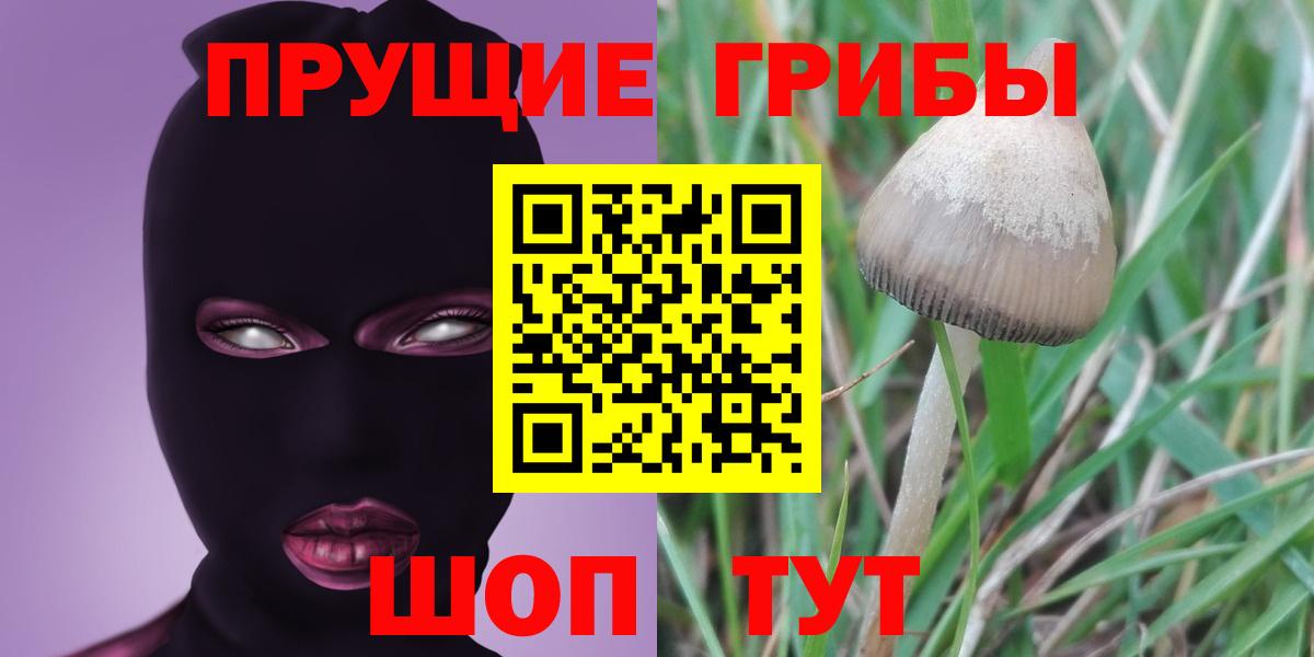 Псилоцибиновые грибы ЛСД  Вход с VPN  Уварово  Псилоцибиновые грибы Psilocybine cubensis 