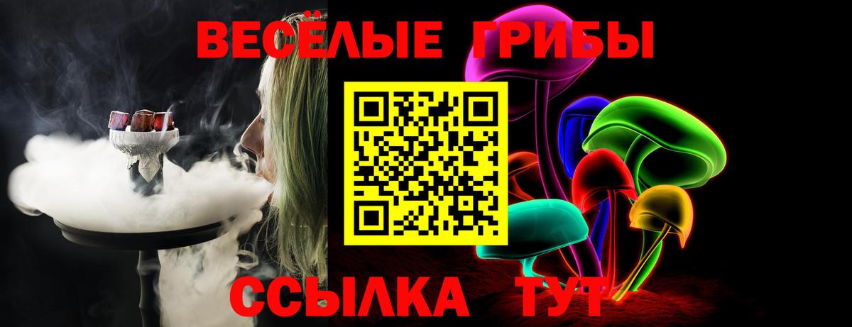Псилоцибиновые грибы мицелий Уварово